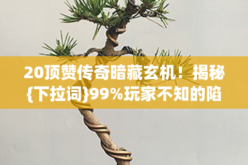20顶赞传奇暗藏玄机图片