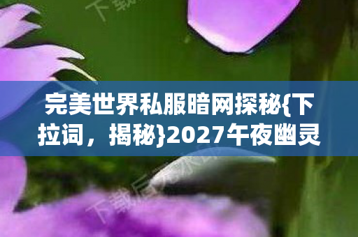 2027午夜幽灵代码真相图片