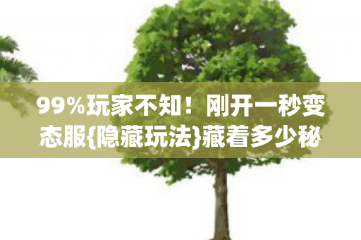 99%玩家不知！刚开一秒变态服{隐藏玩法}藏着多少秘辛？