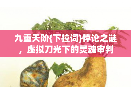 九重天阶{下拉词}悖论之谜,虚拟刀光下的灵魂审判 九重天阶{下拉词}悖论之谜,虚拟刀光下的灵魂审判