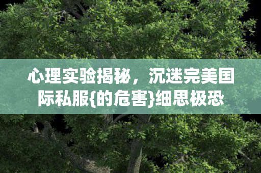 沉迷完美国际私服图片