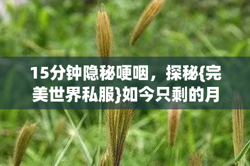 15分钟隐秘哽咽图片
