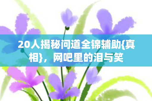 20人揭秘问道全锦辅助图片