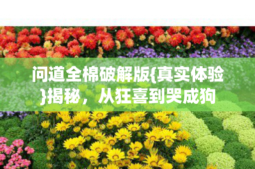 问道全棉破解版图片