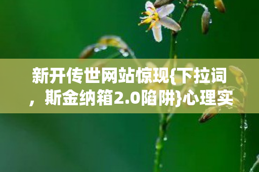 新开传世网站惊现图片
