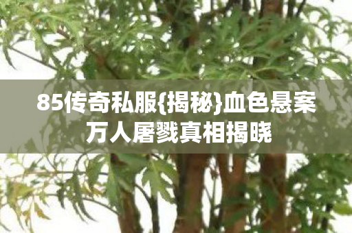 85传奇私服{揭秘}血色悬案 万人屠戮真相揭晓 85传奇私服{揭秘}血色悬案 万人屠戮真相揭晓