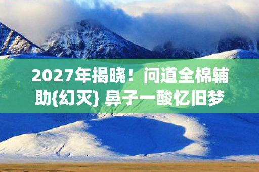 2027年揭晓图片