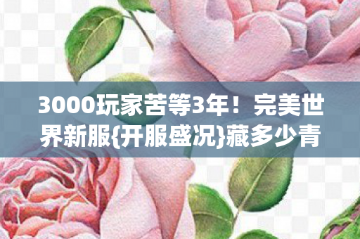 3000玩家苦等3年图片