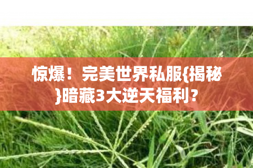 暗藏3大逆天福利图片