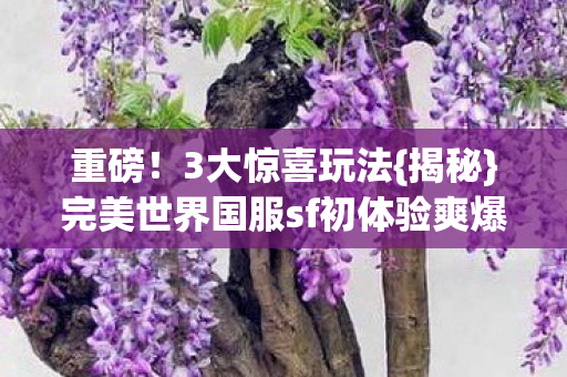 完美世界国服sf初体验爽爆图片