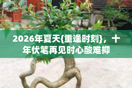 2026年夏天{重逢时刻}，十年伏笔再见时心酸难抑
