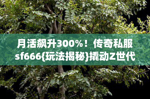 传奇私服sf666图片