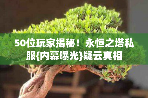 50位玩家揭秘图片