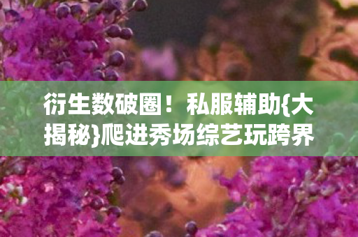 爬进秀场综艺玩跨界图片