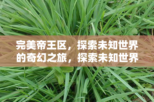 完美帝王区,探索未知世界的奇幻之旅,探索未知世界的奇幻之旅,完美帝王区 完美帝王区,探索未知世界的奇幻之旅,探索未知世界的奇幻之旅,完美帝王区