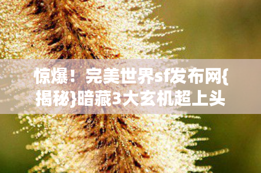 完美世界sf发布网图片