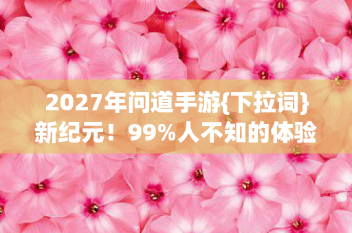2027年问道手游图片