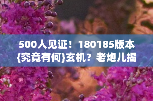 180185版本图片