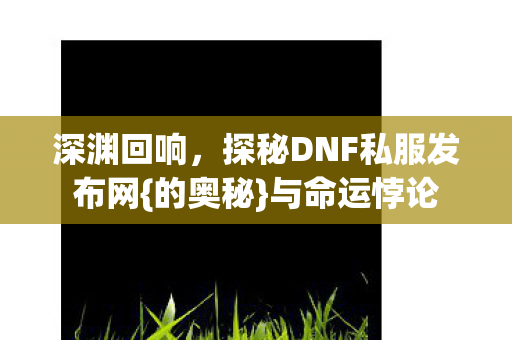探秘DNF私服发布网图片