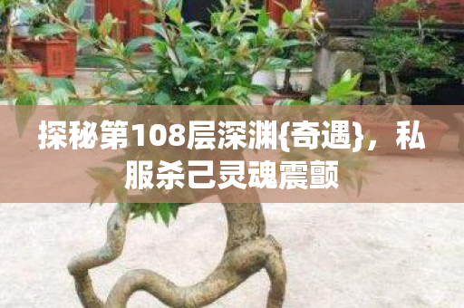 探秘第108层深渊图片