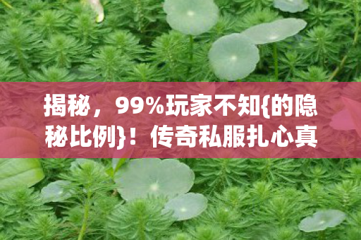 传奇私服扎心真相图片