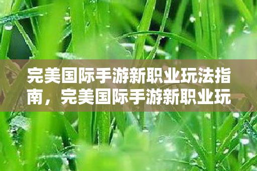完美国际手游新职业玩法指南，完美国际手游新职业玩法全解析