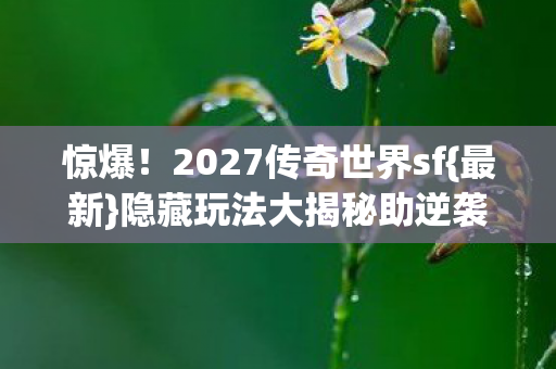 2027传奇世界sf图片