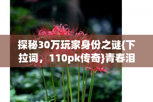 探秘30万玩家身份之谜图片