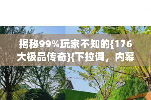 176大极品传奇图片