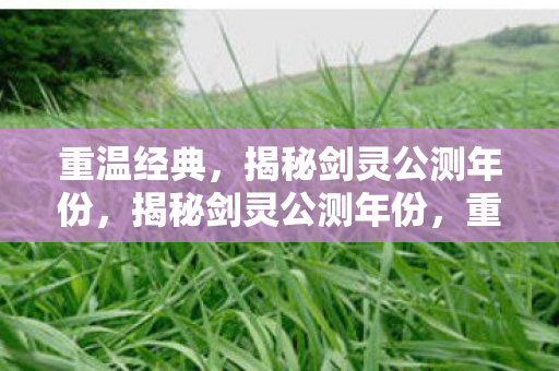 揭秘剑灵公测年份图片