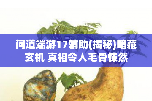 问道端游17辅助{揭秘}暗藏玄机 真相令人毛骨悚然 问道端游17辅助{揭秘}暗藏玄机 真相令人毛骨悚然