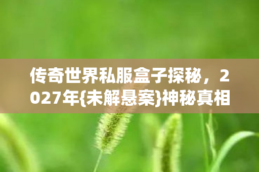 传奇世界私服盒子探秘图片
