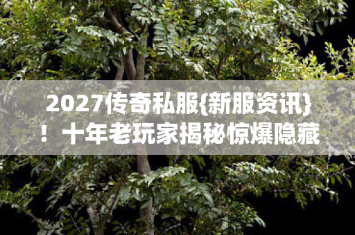 十年老玩家揭秘惊爆隐藏真相图片
