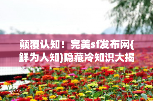 隐藏冷知识大揭秘图片