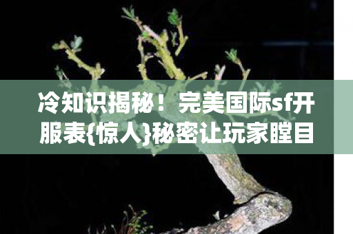 完美国际sf开服表图片