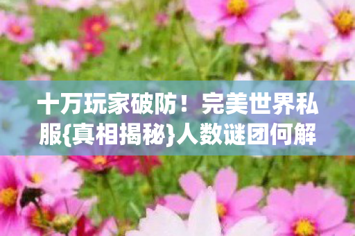 十万玩家破防图片