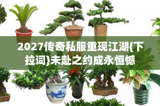 2027传奇私服重现江湖图片