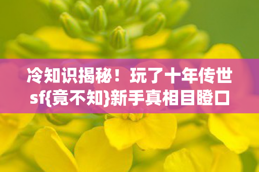 玩了十年传世sf图片