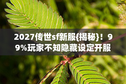 玩家不知隐藏设定开服封神图片