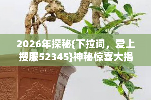 爱上搜服52345图片