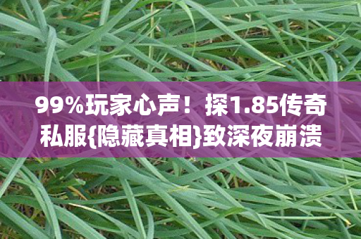 85传奇私服图片