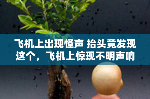 飞机上出现怪声 抬头竟发现这个,飞机上惊现不明声响,抬头竟发现这一幕 飞机上出现怪声 抬头竟发现这个,飞机上惊现不明声响,抬头竟发现这一幕