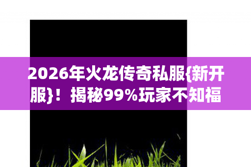 2026年火龙传奇私服图片