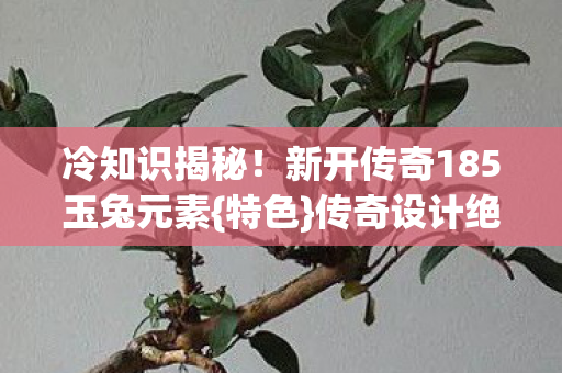 新开传奇185玉兔元素图片