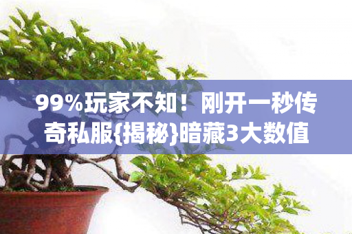刚开一秒传奇私服图片