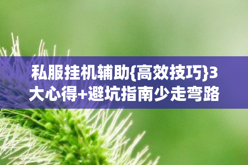 私服挂机辅助{高效技巧}3大心得+避坑指南少走弯路 私服挂机辅助{高效技巧}3大心得+避坑指南少走弯路