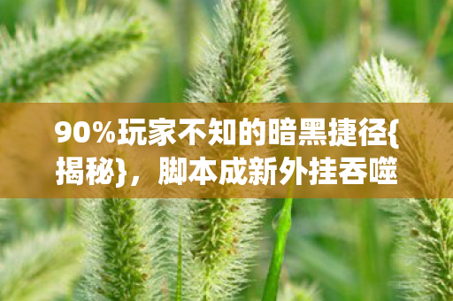 脚本成新外挂吞噬游戏人生图片