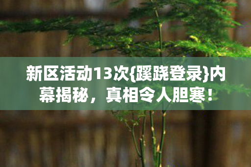 新区活动13次图片