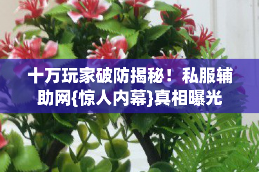 十万玩家破防揭秘!私服辅助网{惊人内幕}真相曝光 十万玩家破防揭秘!私服辅助网{惊人内幕}真相曝光