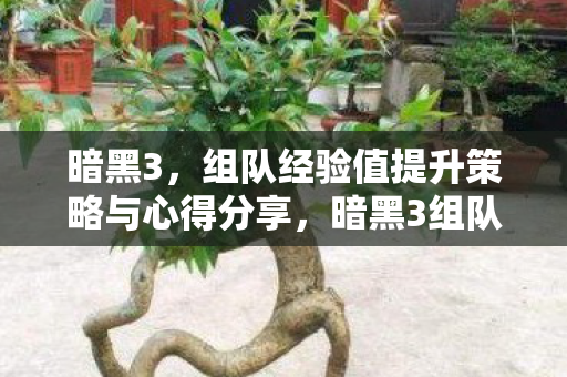 暗黑3,组队经验值提升策略与心得分享,暗黑3组队经验提升,策略与心得分享 暗黑3,组队经验值提升策略与心得分享,暗黑3组队经验提升,策略与心得分享